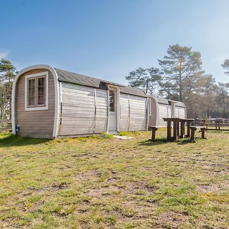 Naturcamping Lueneburger Heide - Chalets & Tiny Haeuser Soltau Eksteriør bilde