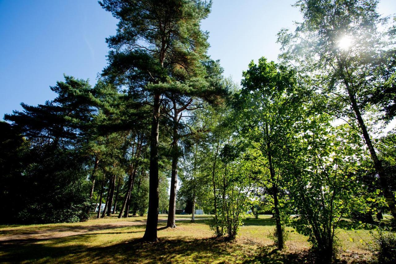 Naturcamping Lueneburger Heide - Chalets & Tiny Haeuser Soltau Eksteriør bilde